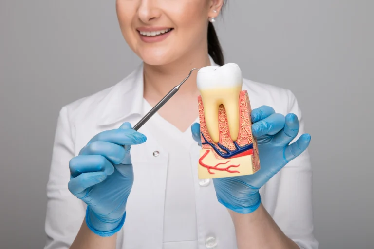 Dentist holding a tooth model to explain root canal treatment in Fairfield, CA